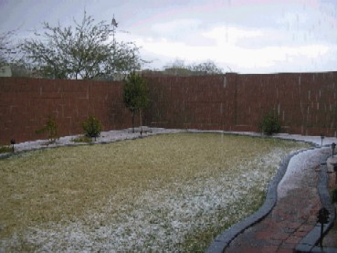 Arizona Rain Backyard
