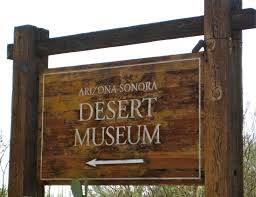 Arizona Desert Museum