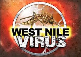 West Nile Virus