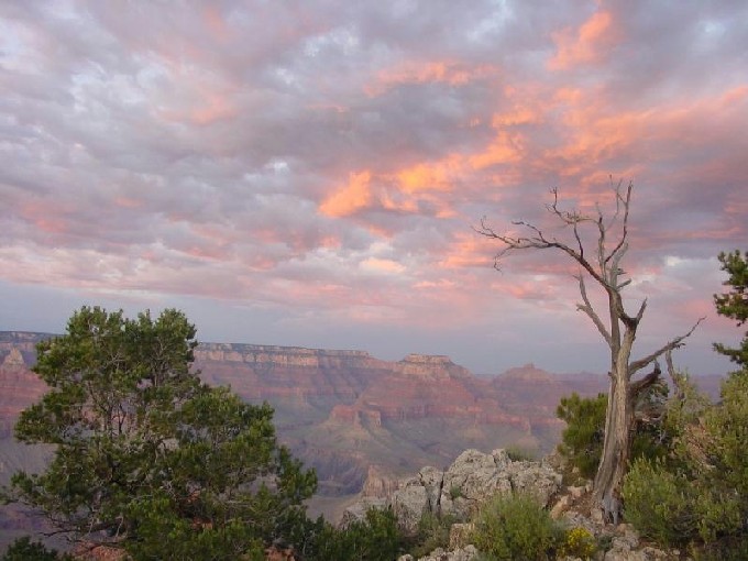 Grand Canyon View