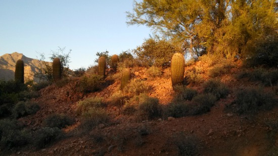 Hiking in Arizona