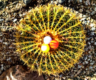 Phoenix Open Golf Tournament Phoenix Open Golf Tournament