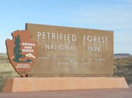 The Petrified National Forest