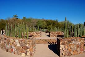 Tohono Chul Park