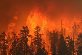 Arizona Wildfires