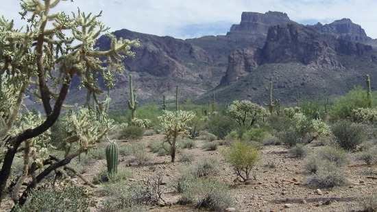 Superstition Mountains